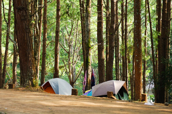 Summer Is Over: Wash & Store Your Camping Gear